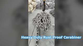 Carabiner cổng trục vít bằng thép không gỉ hạng nặng